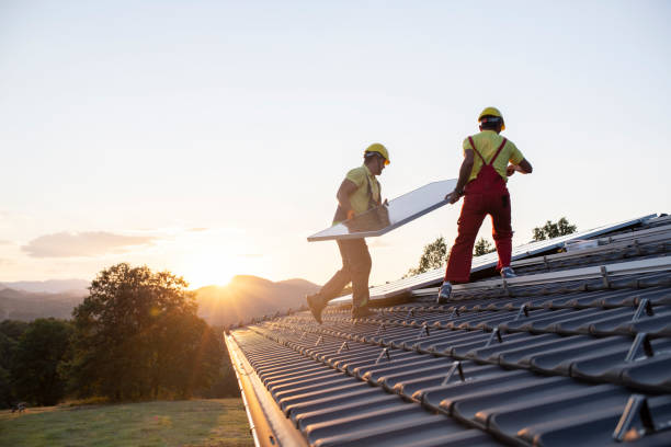 Best Roof Insulation Installation  in Lo, HI
