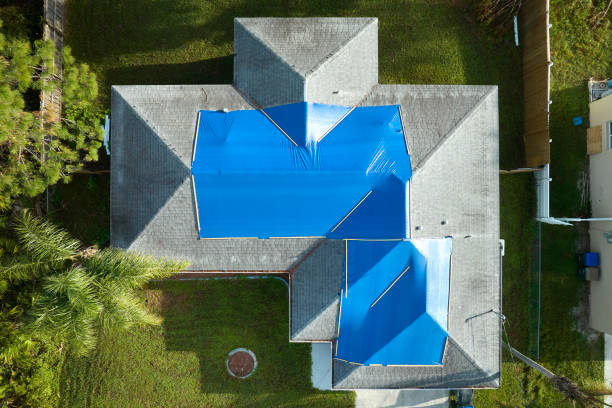 Best Asphalt Shingle Roofing  in Lo, HI