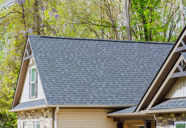 Best Metal Roofing Installation  in Lo, HI