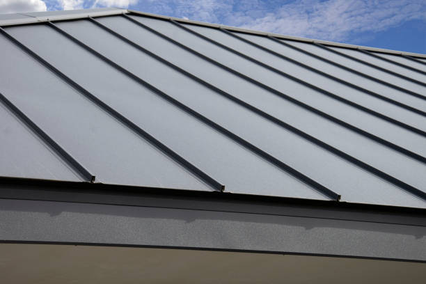 Best Steel Roofing  in Lo, HI