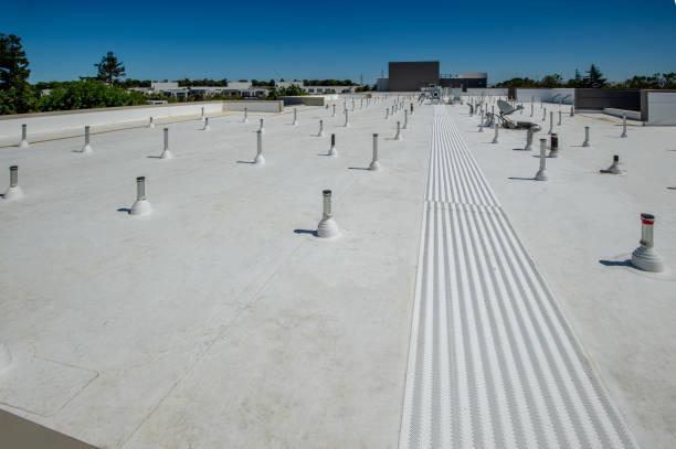 Best Roof Ventilation Installation  in Lo, HI